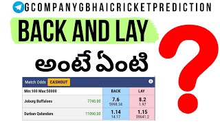 how to use back and lay buttons in telugu#howtousebacklaybuttonstelugu #backlaytelugu #telugucricket