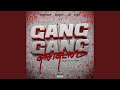 Gang Gang Gangland