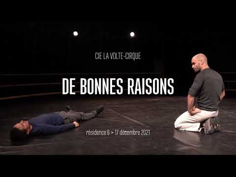 "De bonnes raisons" - Cie La volte-cirque