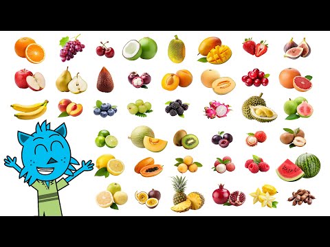 I frutti  🥝🍌 | I nomi dei frutti in italiano | Video didattico divertente ed educativo