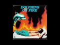 "DOLPHINS ON FIRE"