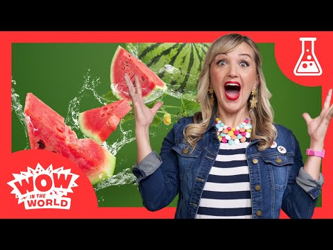EXPLODING WATERMELONS?! 🍉💥 | Mindy's Laboratory of Bad Ideas | Science Experiments for Kids