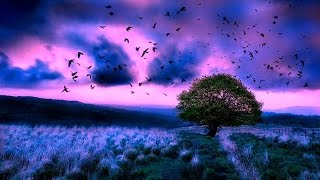 'Wund & Withering' (Genesis remix)