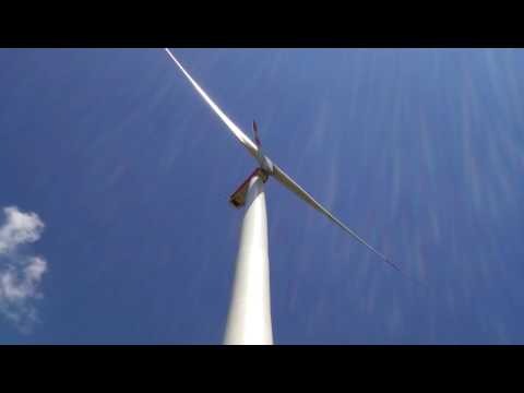 Bluboo Picasso Camera Sample