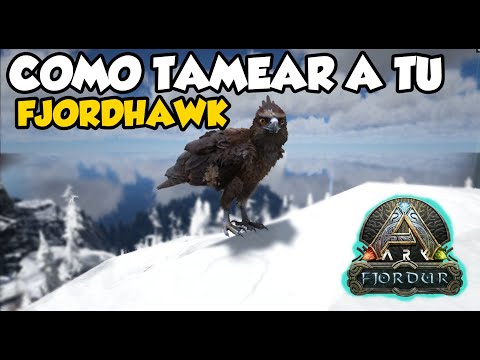 COMO TAMEAR A TU FJORDHAWK! UN TAMEO FACIL & DIVERTIDO