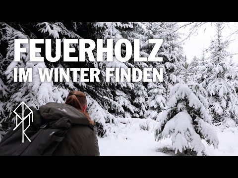 Trockenes Holz im Winter | Zunder, Anmachholz und Brennholz zuverlässig finden | Urviech | Bushcraft