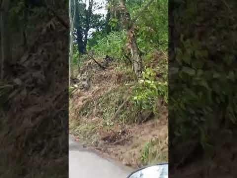 Derrumbes en carretera cerca al carmen de chucuri