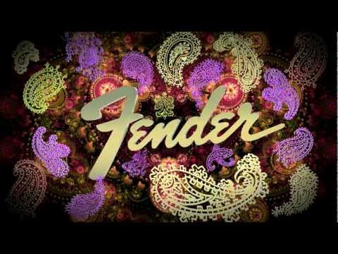 Max Guitar Store - Blue Flower and Pink Paisley  Fender