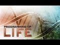Documentary Conspiracy - Programming of Life