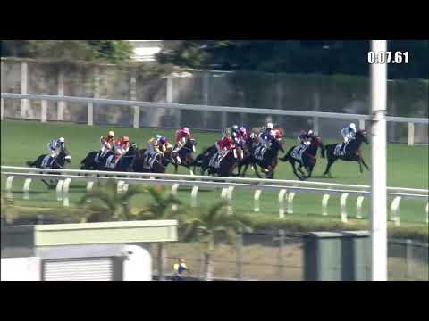 疾風明駒21/12/12……(245)第三塲三班1800米