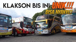 Download lagu KLAKSONNYA BISA NYANYI !! - Klakson Telolet Unik Bus PO Damai - mp3 Download lagu KLAKSONNYA BISA NYANYI !! - Klakson Telolet Unik Bus PO Damai - mp3