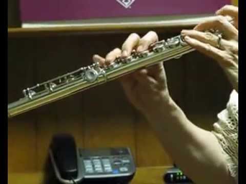 Pearl PF-761 Flute (Used) - Response