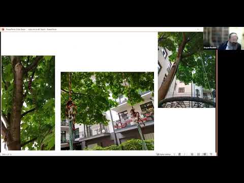 4.40 Panorama of Halocho - Matos-Masei 5784