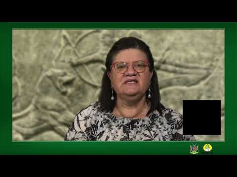 History AS Level, grade 12. Japan and the Paris Peace Treaties.