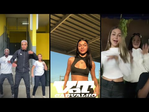 SAFADA, INDECENTE, ENTÃO MENINA SE PREPARA PRIMEIRO TOMA JACK - MC PEPEU vs REMIX TIK TOK[DJs CL&HF]