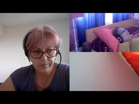 HIPNOZA REGRESIVA.RO-695.Iulian si Umanoidul Compozit Sivornius.E.LASCU coord.si C.MORARU telepat