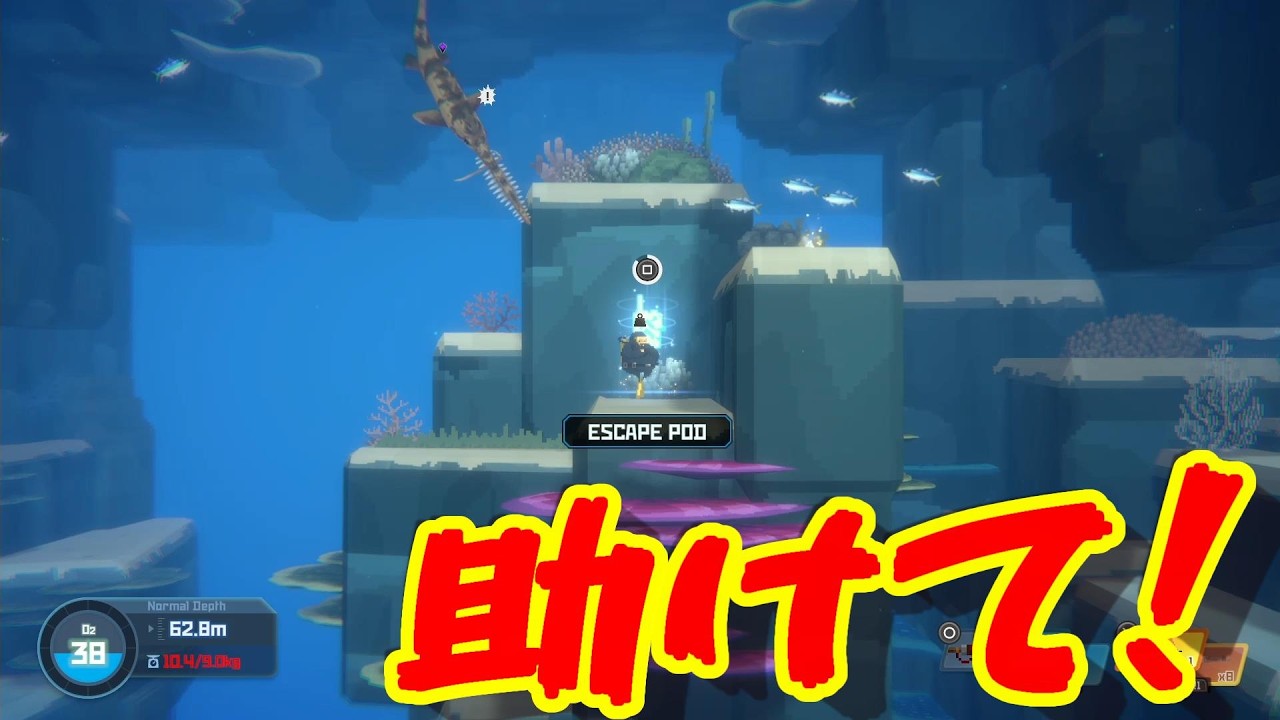 恐ろしくも美しい海洋アドベンチャー[デイヴ・ザ・ダイバー]（Dave the Diver）実況プレイ4