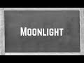 Ariana Grande Moonlight Lyrics