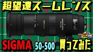 ついに超望遠買った‼！SIGMA APO 50-500mm【カメラ EFマウント】