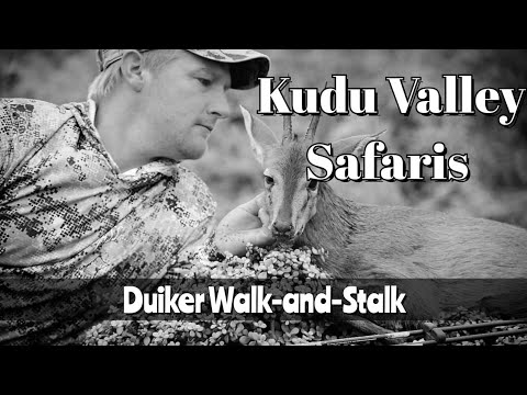Duiker Bow Hunt - The Calling - Kudu Valley Safaris 2022