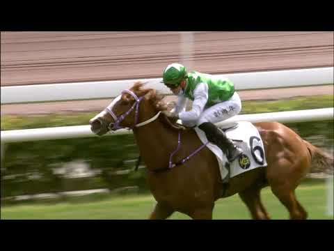 24/1/2021 (365) Pakistan Friend -  T Piccone