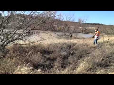 Orvis Endorsed Lodge of the Year Upland Hunt Guided By Orvi