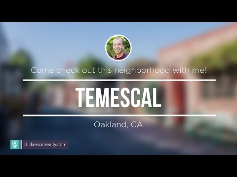 Discovering Temescal Alley: A Hidden Gem in Oakland, California