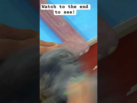 Making an Amazing Therapy Table with Woodworking Magic 🪚🛋️"Hashtags: #Woodworking November 4, 2023