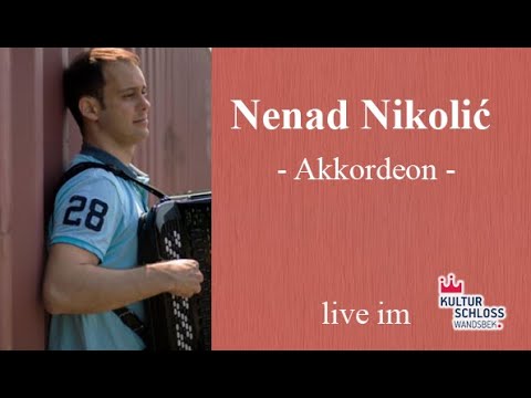 Nenad Nikolić - Akkordeon