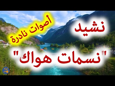 نشيد نسمات هواك   #نشيد  أصوات نادرة