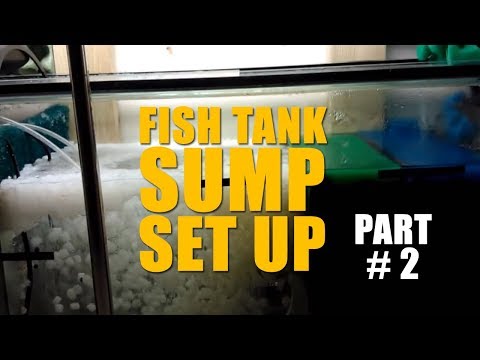 HOW TO: Set up a Fish Tank Sump Part 2