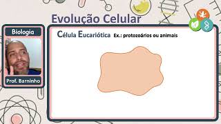 Procarionte X Eucarionte
