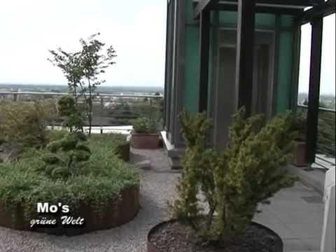 Dachbegrünung , Seydell Garten- und Landschaftsbau, Karlsruhe