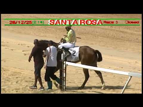 Arima Race Club - Day 12 December 26th 2025 Race -3