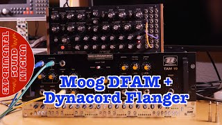 Video thumbnail for ESK - Moog DFAM + Dynacord TAM 19 Flanger by Metunar