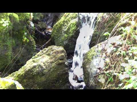 Dame Silú de Mordomoire - Beacon of Light - video clip