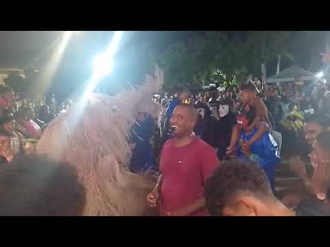 Mas uma apresentação do boi duro em Belmonte Bahia boi da cara petra 