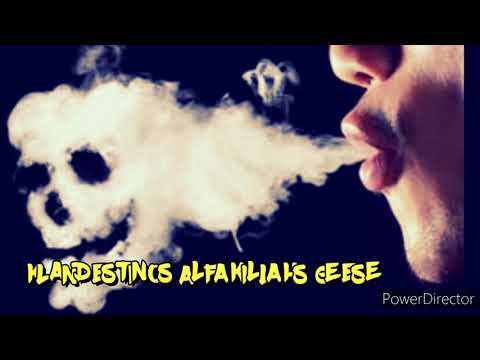 OLOR A VITTA ((KLANDESTINOS ALFAKILLAHS GEESE))