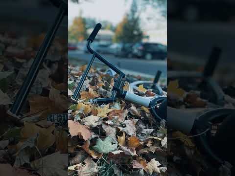 Kink switch 2023 , fall, 🔥