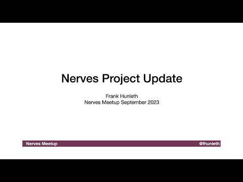 Nerves Project Update 2023