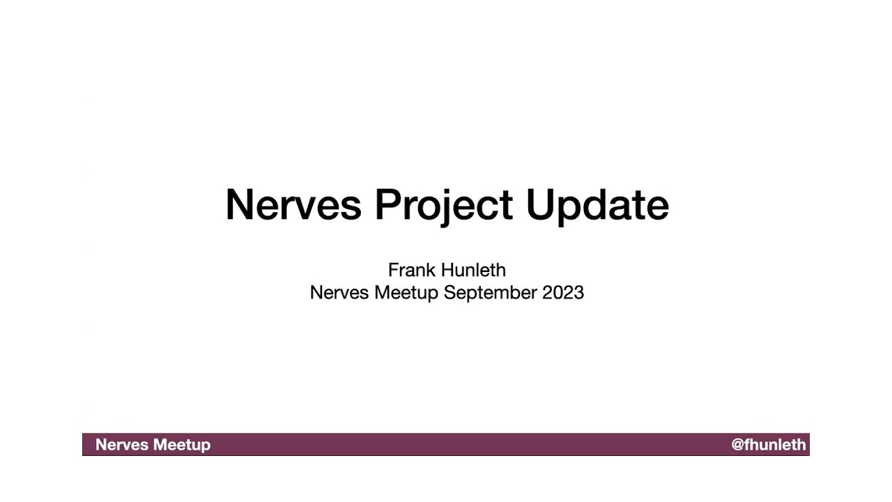 Nerves Project Update 2023