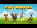 Baby Animals Names Kids Vocabulary