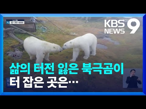 아이콘