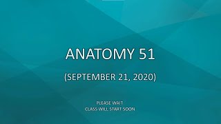 Anatomy 51 (September 21, 2020)