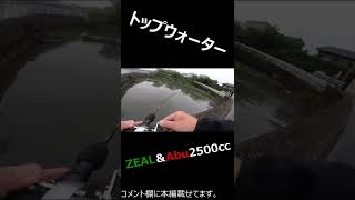 トップは楽しい！（本編は説明欄）#shorts