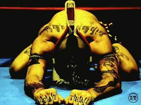 Mechanimal vs Contineum - The Free Man