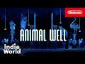 Βίντεο παιχνιδιού για Animal Well  XBox