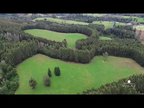 Campo 69,65 ha - Los Lagos - Región de Los Ríos 
