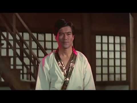 Bruce Lee Vs Gold Belt Master