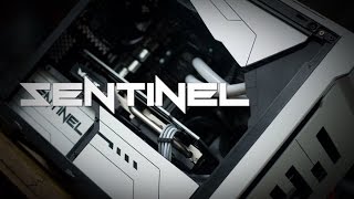 Project Sentinel